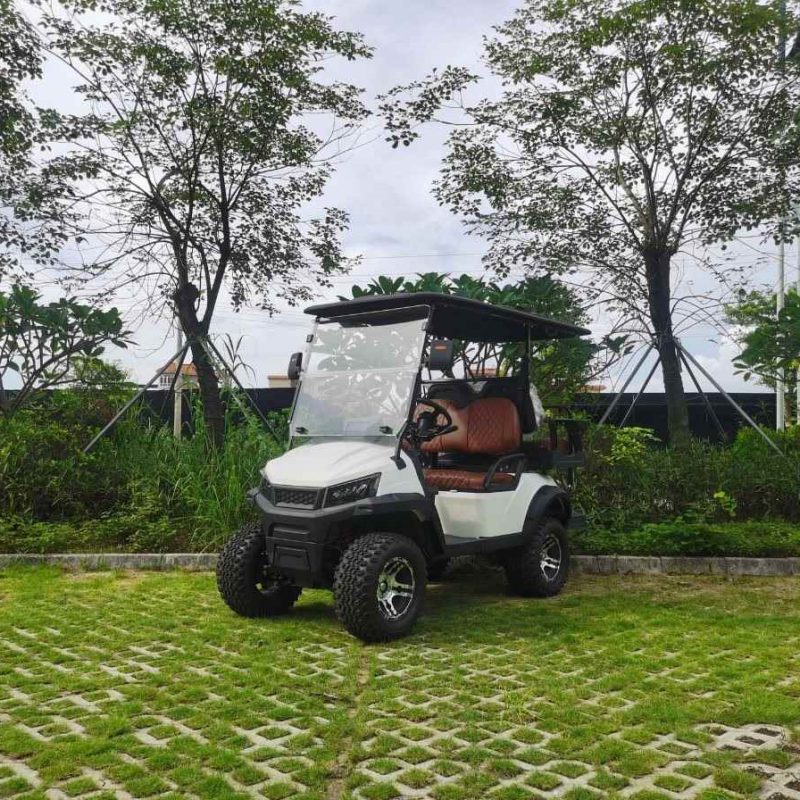 2 ထိုင်ခုံလျှပ်စစ်သည် lithium ဘက်ထရီ H3 နှင့်အတူအမဲလိုက်ခြင်းယာဉ်ကိုရုပ်သိမ်းလိုက်သည်