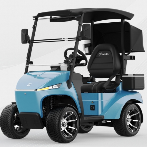 Club Car နှင့် Yamaha Electric ဂေါက်သီးလှည်းများကိုအမှန်တကယ်သတ်မှတ်ထားသည်