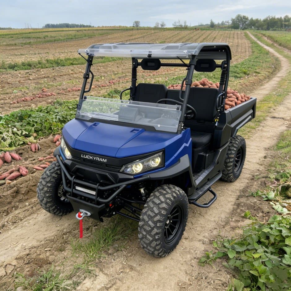 73.6V 4WD UTV 10kw AC Motor EPS Steering 150ah ဘက်ထရီ